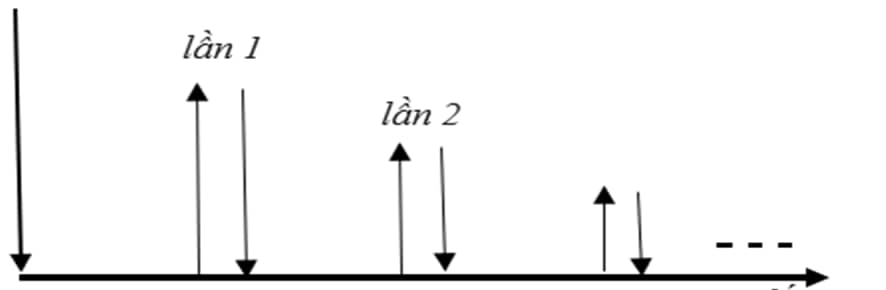 Hình minh họa câu hỏi